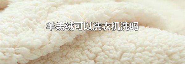 羊羔绒可以洗衣机洗吗