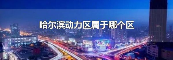 哈尔滨动力区属于哪个区