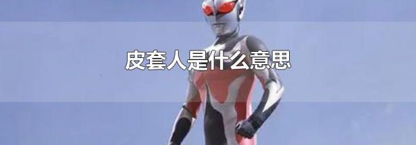 皮套人是什么意思