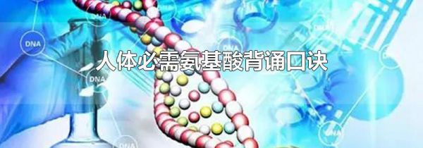 人体必需氨基酸背诵口诀