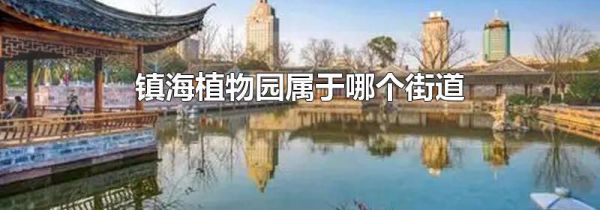镇海植物园属于哪个街道