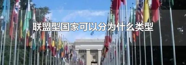 联盟型国家可以分为什么类型