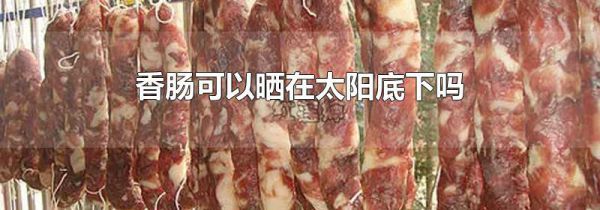 香肠可以晒在太阳底下吗