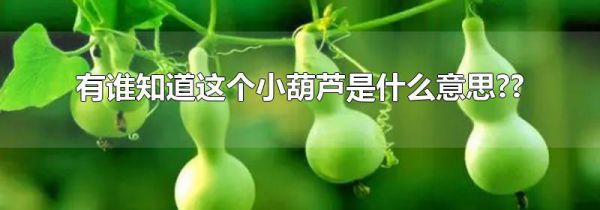 有谁知道这个小葫芦是什么意思??