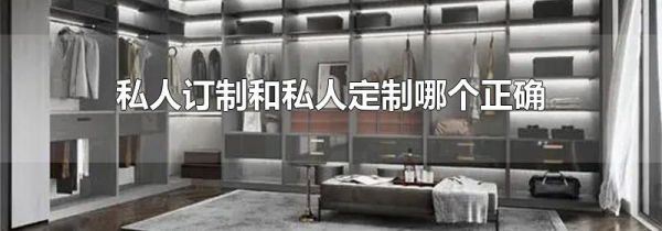 私人订制和私人定制哪个正确