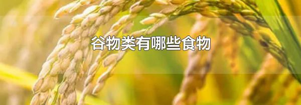 谷物类有哪些食物