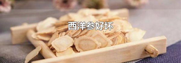 西洋参好坏