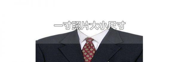 一寸照片大小尺寸