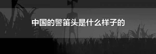 中国的警笛头是什么样子的