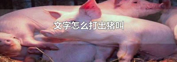 文字怎么打出猪叫