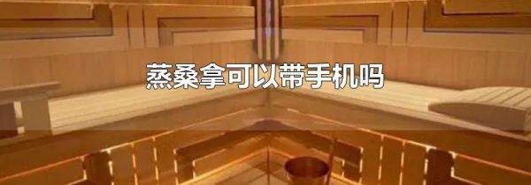 蒸桑拿可以带手机吗