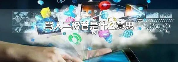 骂人二极管是什么意思