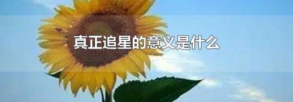 真正追星的意义是什么