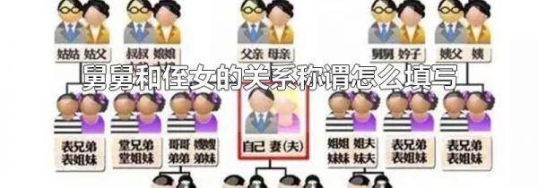 舅舅和侄女的关系称谓怎么填写