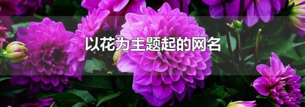 以花为主题起的网名