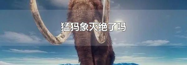 猛犸象灭绝了吗