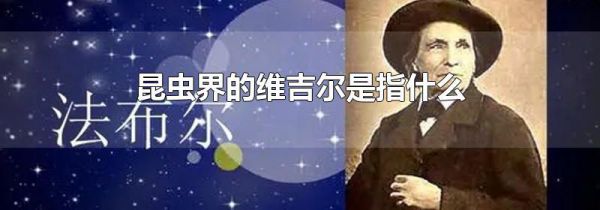 昆虫界的维吉尔是指什么