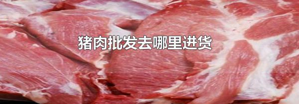 猪肉批发去哪里进货