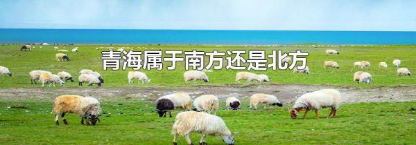 青海属于南方还是北方