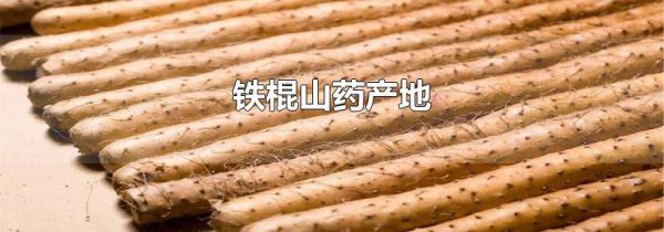 铁棍山药产地