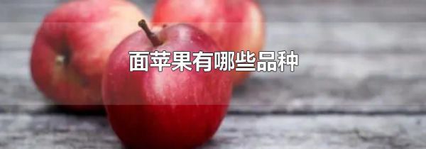 面苹果有哪些品种