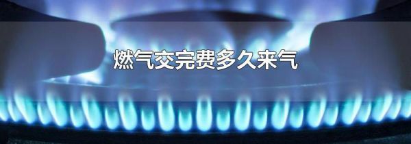 燃气交完费多久来气
