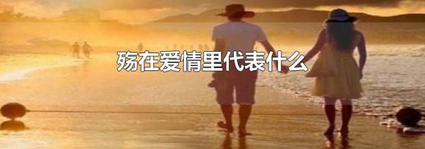 殇在爱情里代表什么