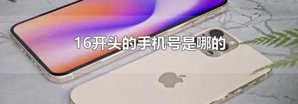 16开头的手机号是哪的