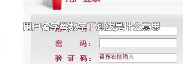 用户名字母数字下划线是什么意思