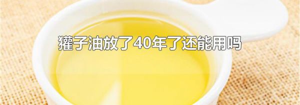 獾子油放了40年了还能用吗