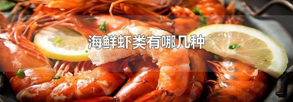 海鲜虾类有哪几种