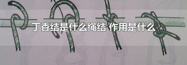 丁香结是什么绳结 作用是什么