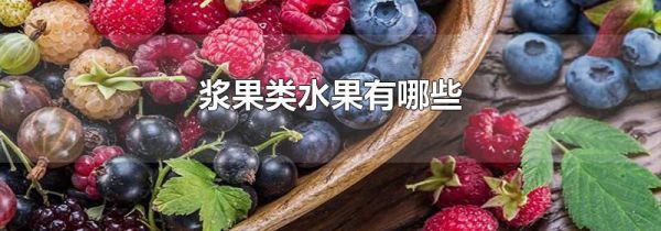 浆果类水果有哪些