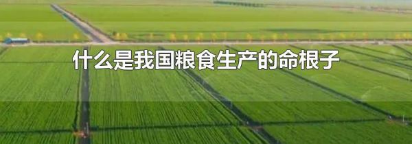 什么是我国粮食生产的命根子