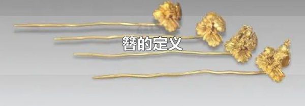 簪的定义