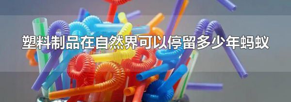 塑料制品在自然界可以停留多少年蚂蚁