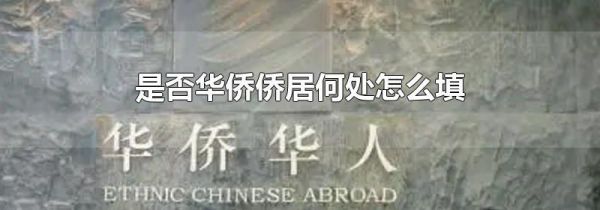 是否华侨侨居何处怎么填