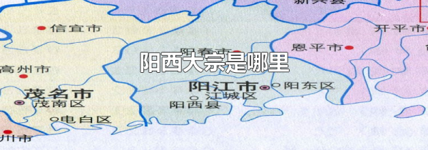 阳西大宗是哪里