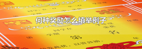 何种奖励怎么填举例子