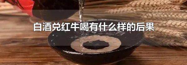白酒兑红牛喝有什么样的后果