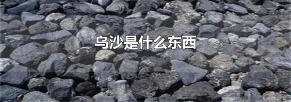 乌沙是什么东西