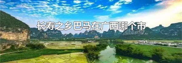 长寿之乡巴马在广西哪个市