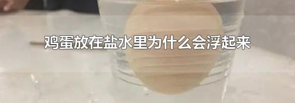 鸡蛋放在盐水里为什么会浮起来