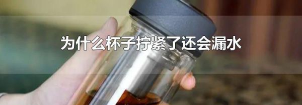 为什么杯子拧紧了还会漏水