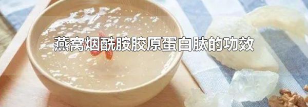 燕窝烟酰胺胶原蛋白肽的功效