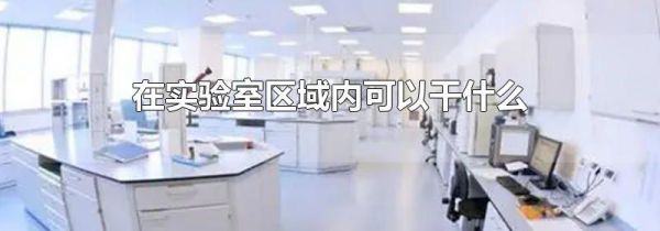 在实验室区域内可以干什么