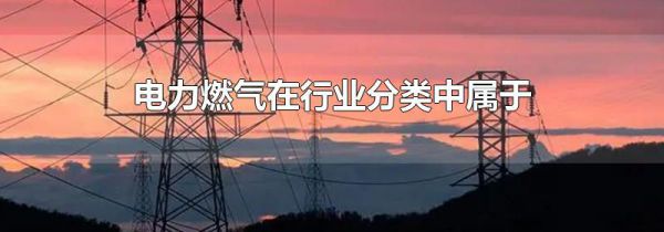 电力燃气在行业分类中属于