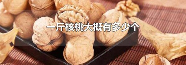 一斤核桃大概有多少个