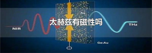 太赫兹有磁性吗