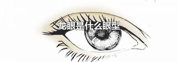 龙眼是什么眼型